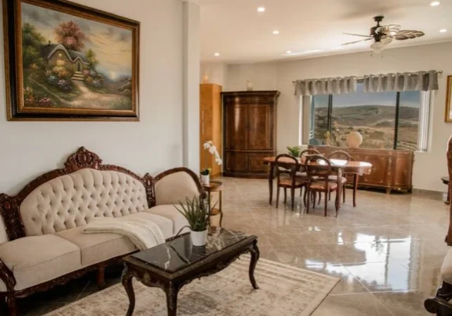 Proyecto nuevo (11)